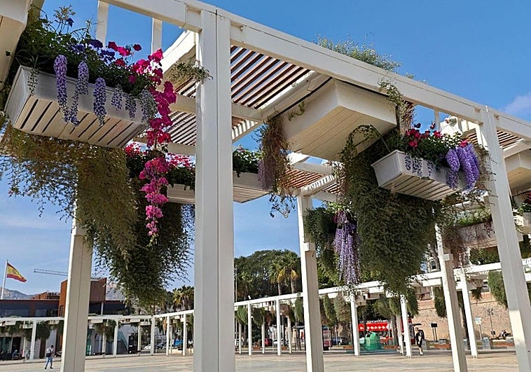 La Autoridad Portuaria de Cartagena renovará la jardinería de la fachada marítima